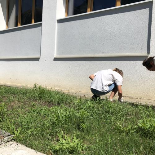 „Natur und Umwelt – Bewahrung der Schöpfung“