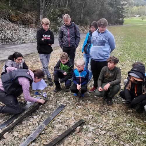 Projekt Piburger See