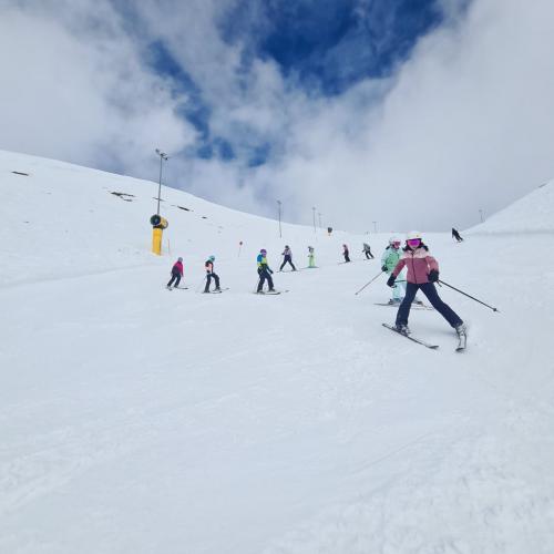Ski