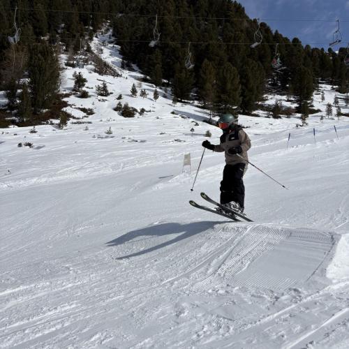 Ski