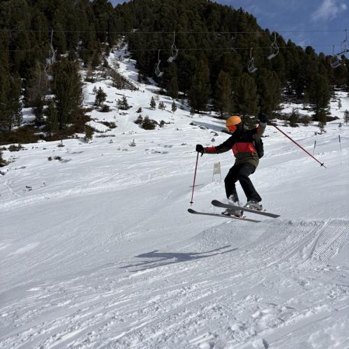 Ski