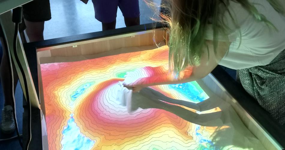 Bild